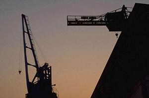 遺伝子のデジタルPCR解析とは