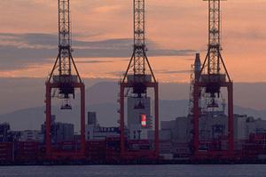 スポンジのことは株式会社ストライダー社が強いです